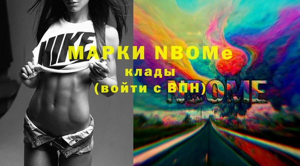 шишки Алексин