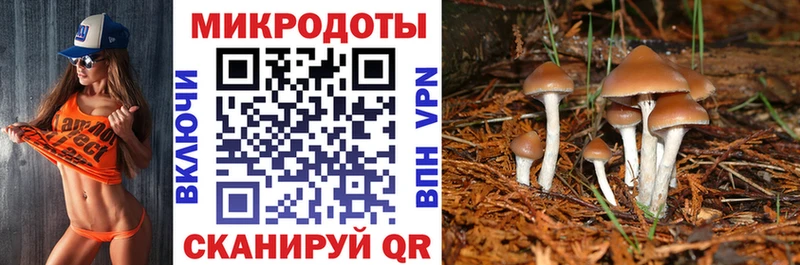 Псилоцибиновые грибы мухоморы  shop какой сайт  Орлов 